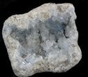 Celestine (Celestite) Geode - Icy Blue Crystals #37090-2